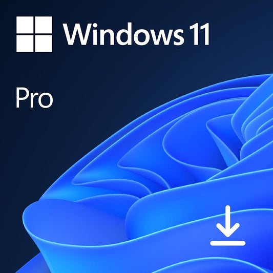 Windows 11 Pro for life